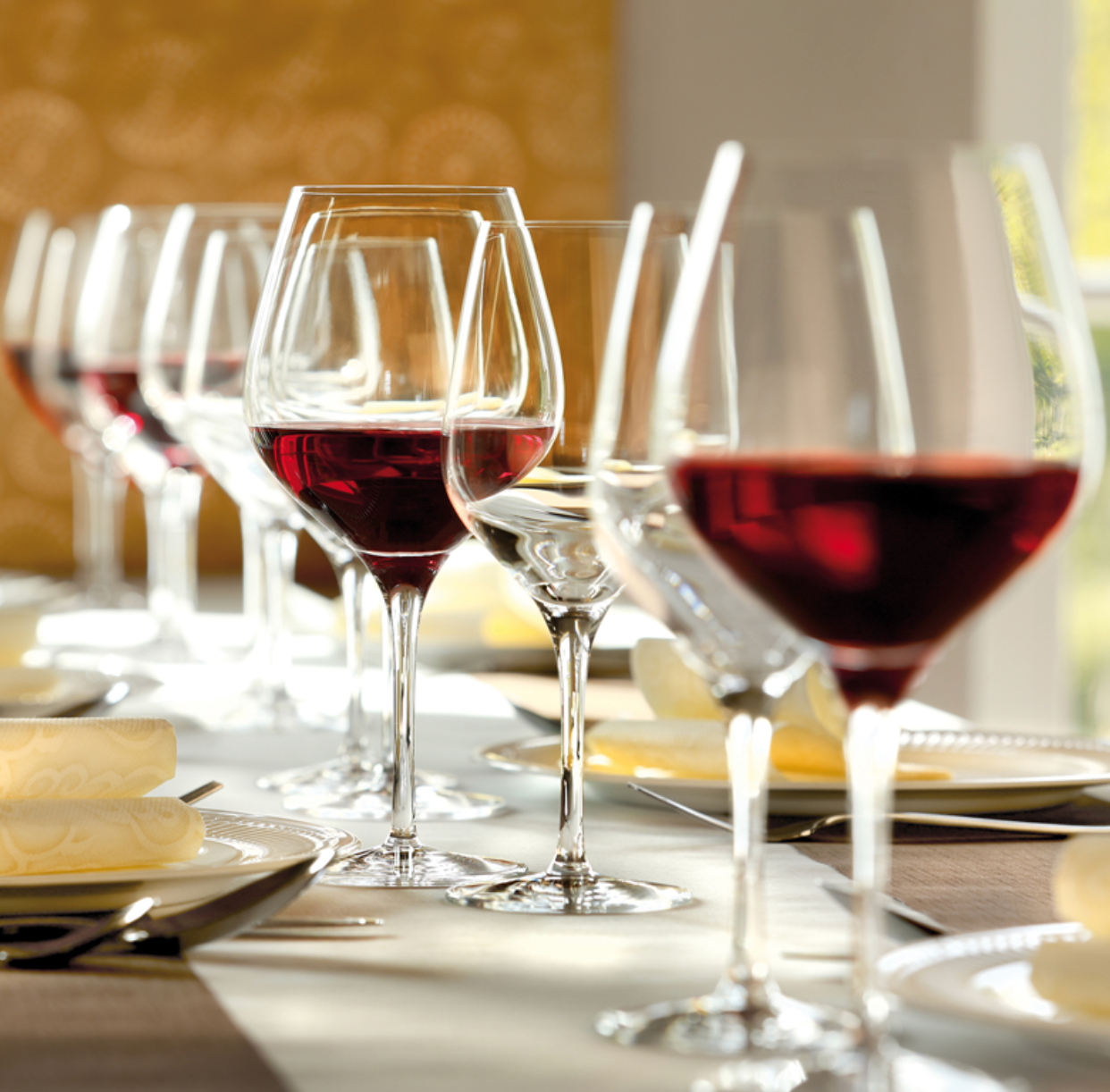 Vino tinto exquisito 480 ml - Set 6 piezas - Stolzle