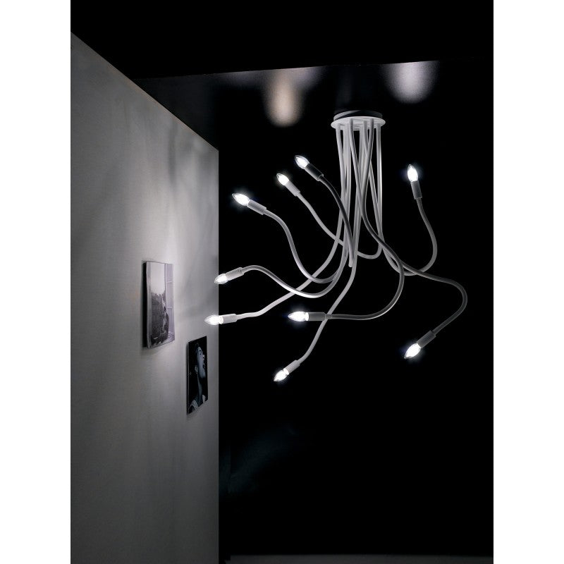 buonannodesignboutique